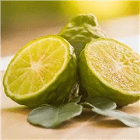 Bergamot Amber notes