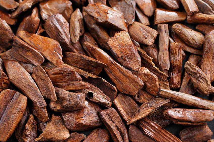 Oud-Agarwood notes